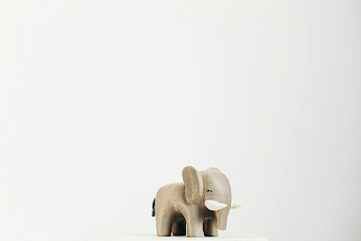 /site/assets/files/1564/elefant_pexels-cottonbro-3661225-1.400x267.jpg
