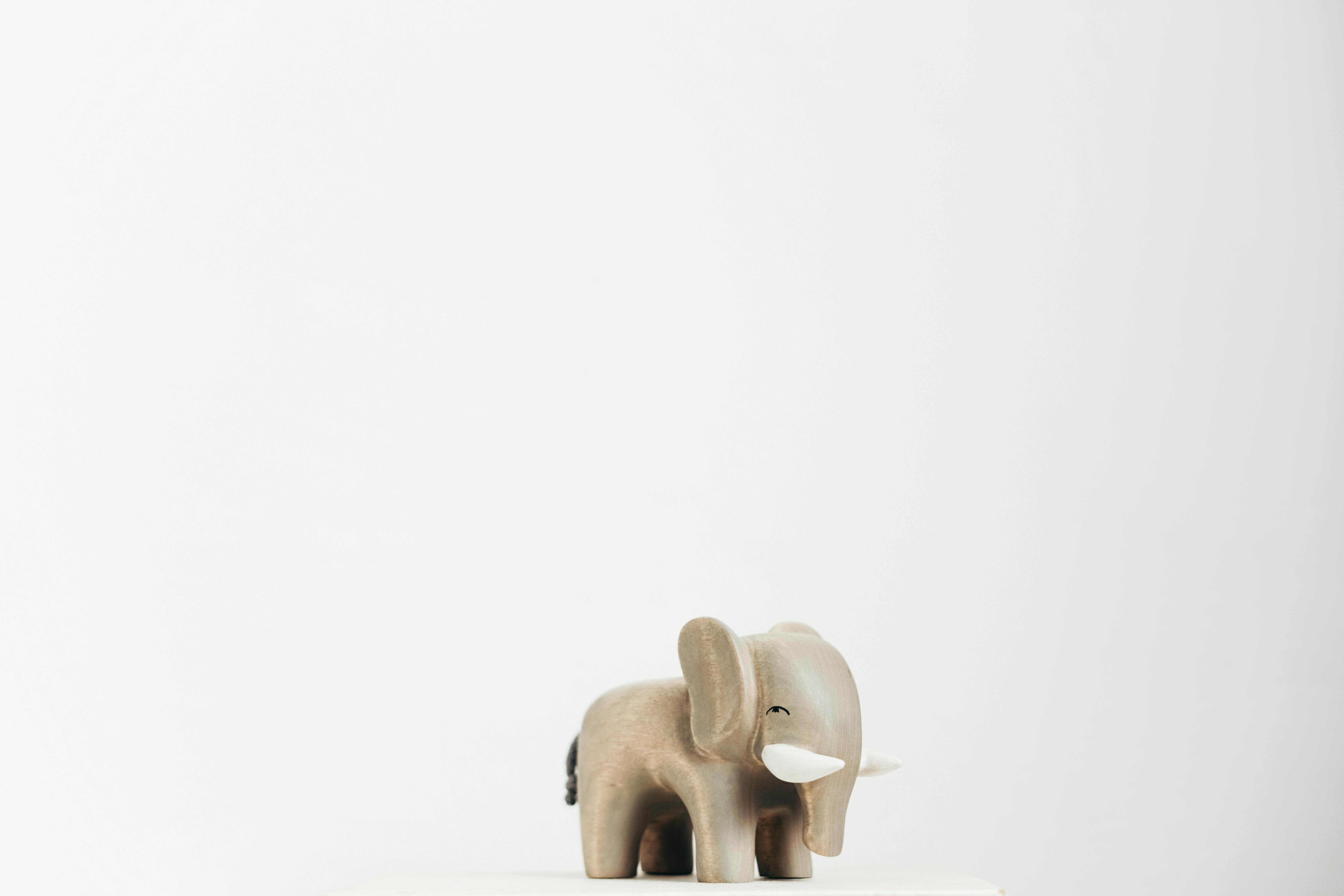 /site/assets/files/1564/elefant_pexels-cottonbro-3661225-1.jpg